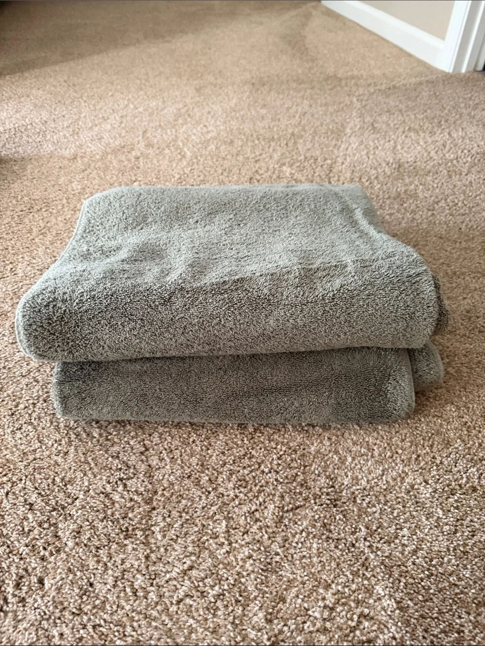 Threshold Green Plush Bath Towels - Set of 2